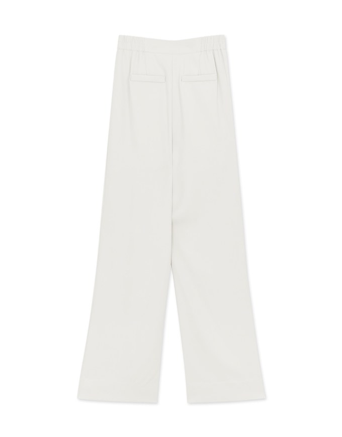 Sleek CEO Style Pleated Suit Wide Pants