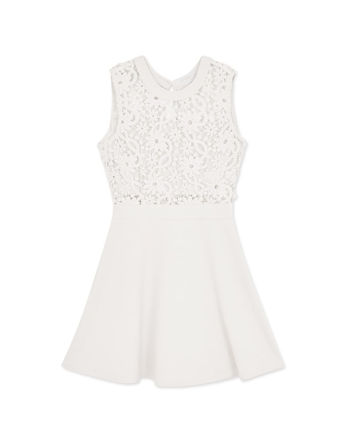 Hollow Lace Mini Dress