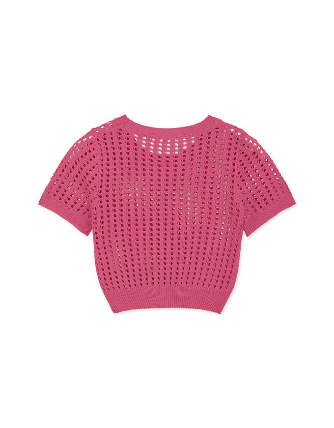 Hollow Hole Crop Knitted Top