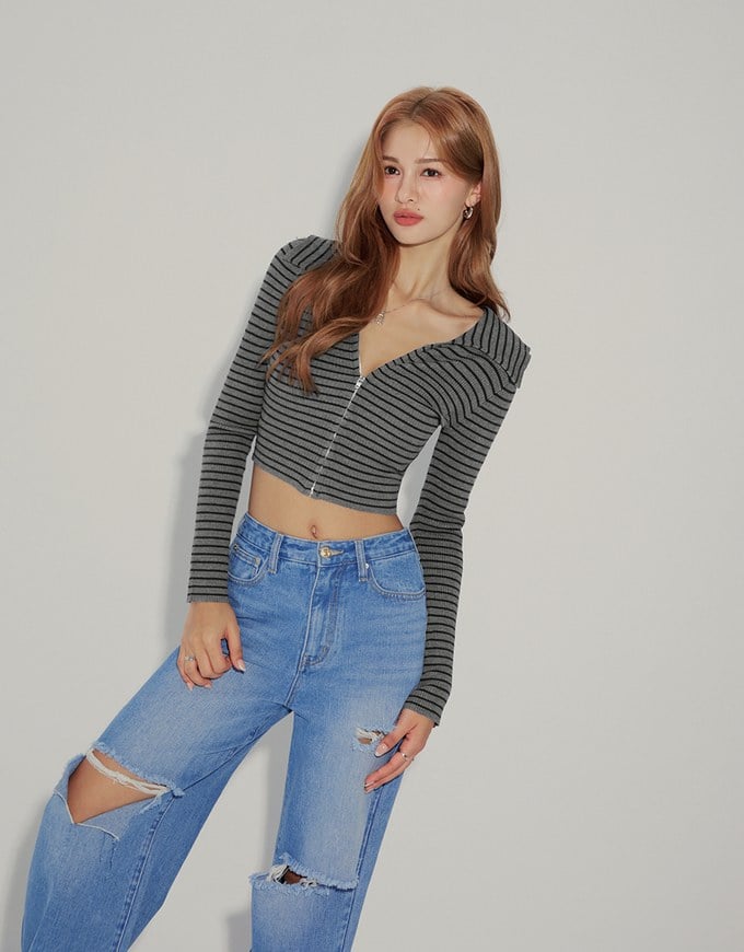 2way Large Collar Striped Zipper Top