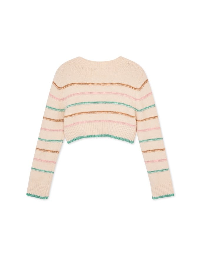 Colorful Line Knitted Crop Top