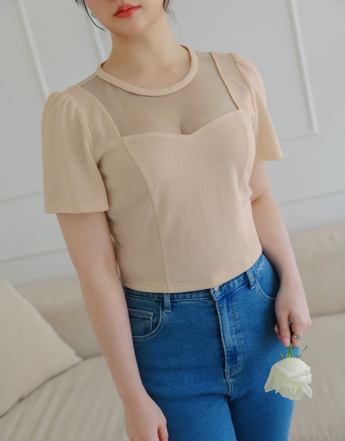 Sheer Short Sleeve Top