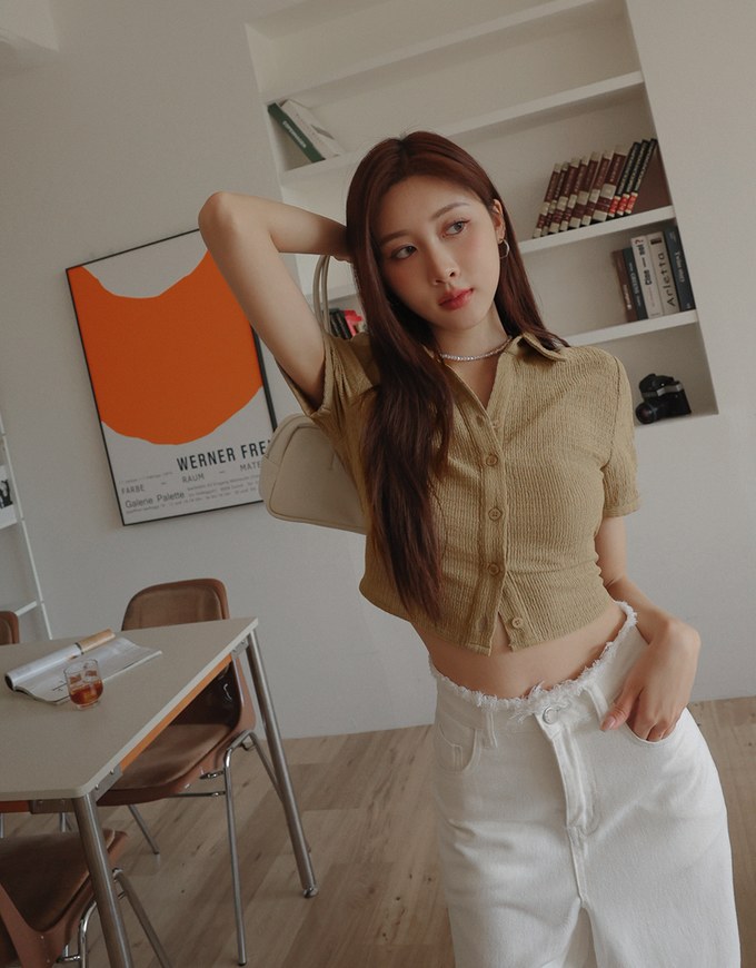 Crinkled Collared Short Sleeve Blouse