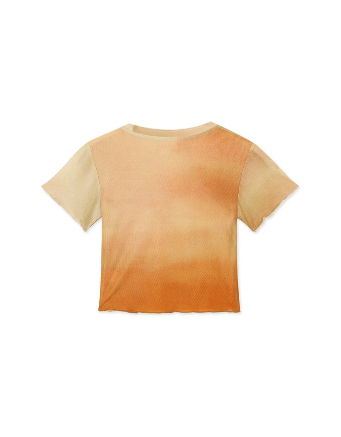 Stylish Gradient Mesh Crop Top