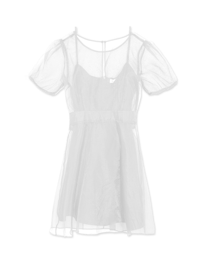 Fashionable Layered Sheer Mini Dress