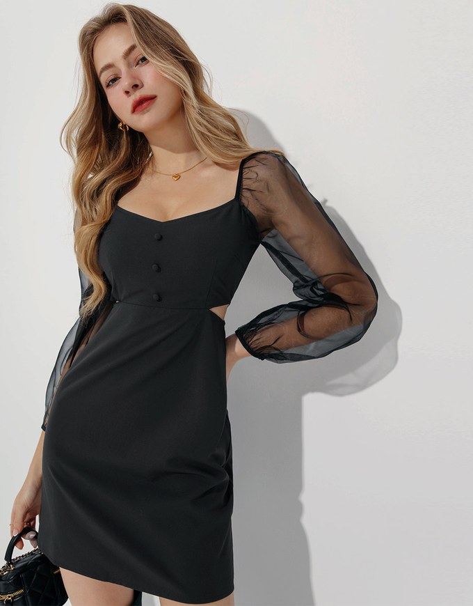 Long Puff Sleeve Sheer Mini Dress