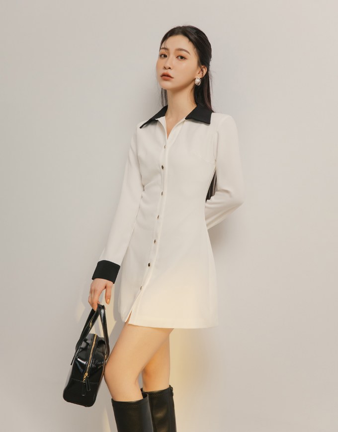 Collared Button Front Colorblock Mini Dress