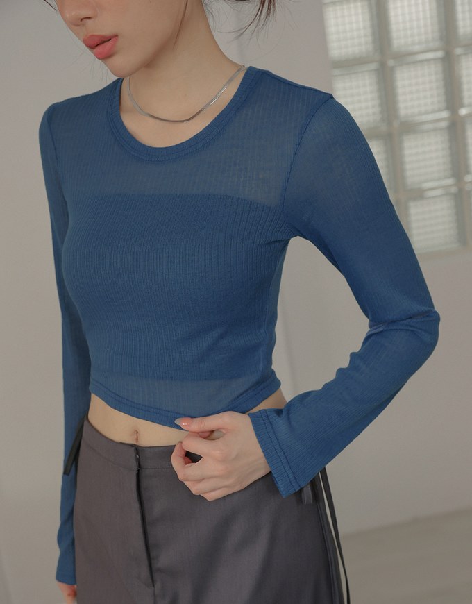 Sheer Knit Cropped Long Sleeve Top