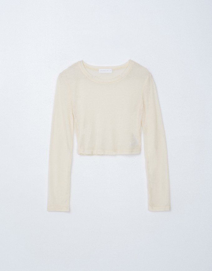 Sheer Knit Cropped Long Sleeve Top