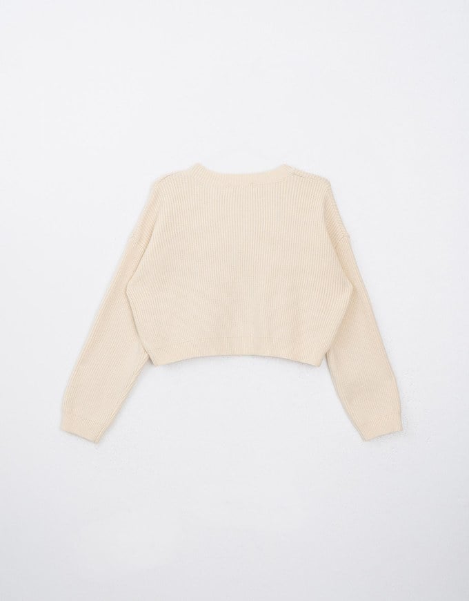 Long Sleeve Mellow Letter Embroidered Knit Cropped Top