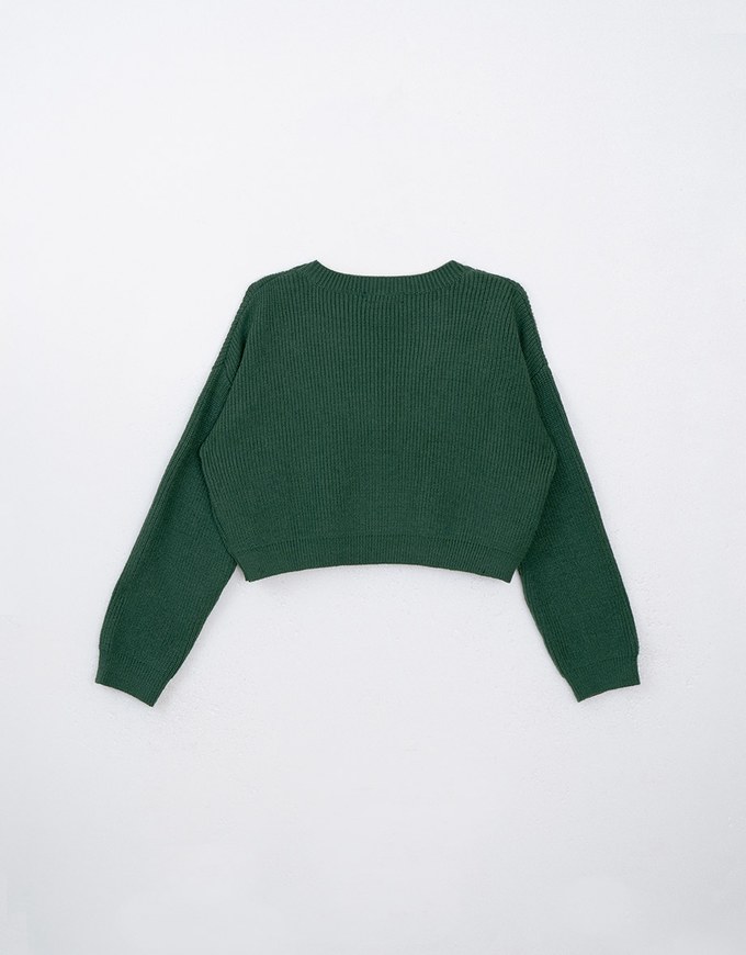 Long Sleeve Mellow Letter Embroidered Knit Cropped Top