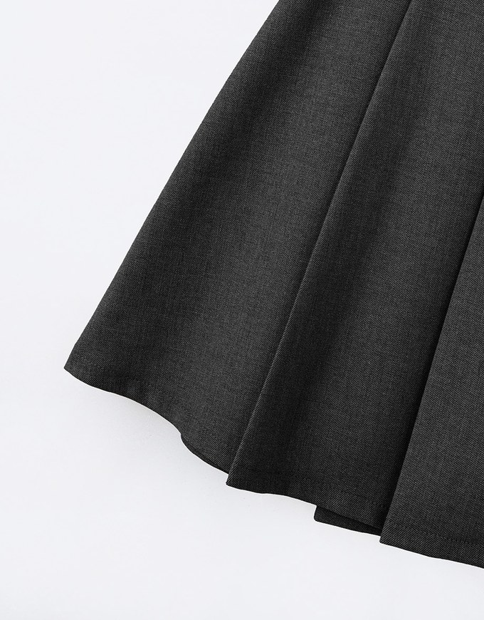 Classic Plain Pleated A Line Mini Skirt