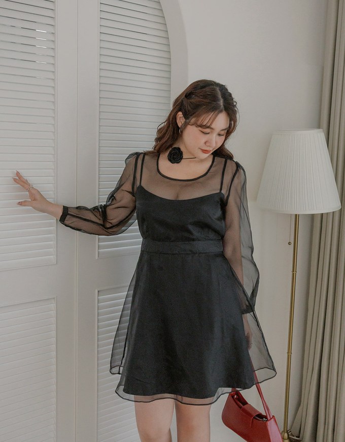 Sheer Back Tie Puff Sleeve Mini Dress