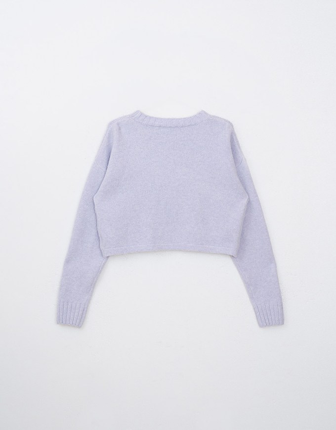 Long Sleeve Bow Pattern Crop Knit Top