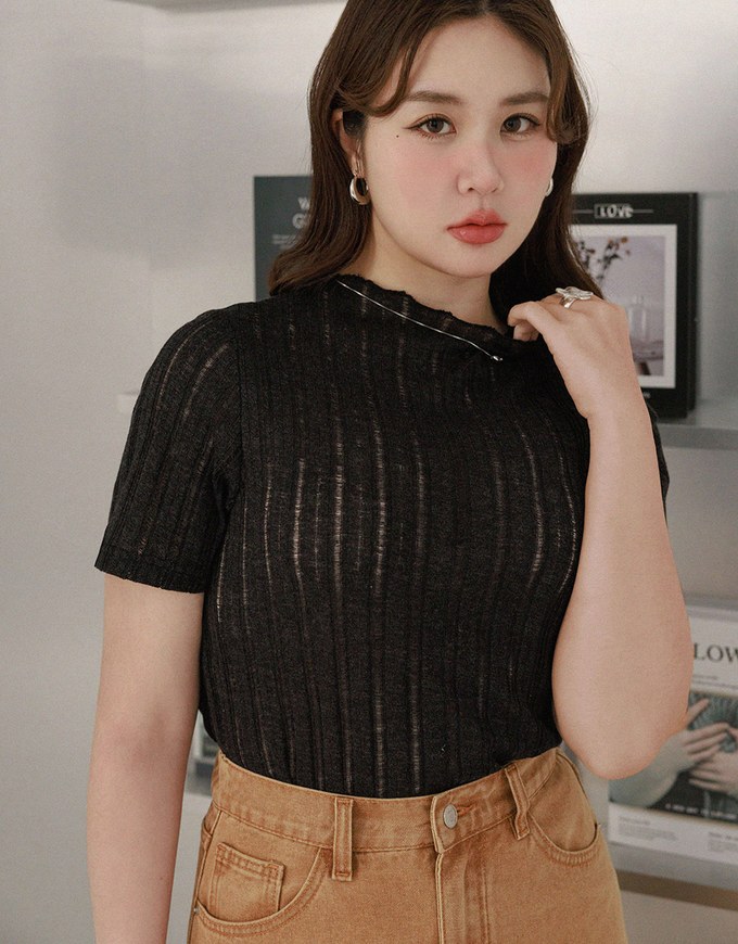 Sheer Half Turtleneck Striped Knit Top