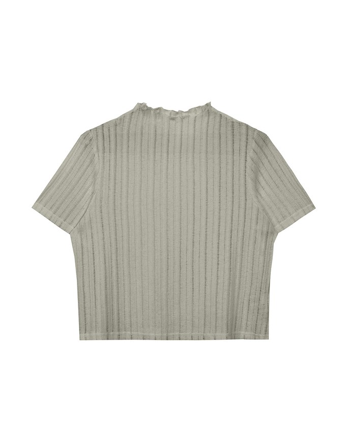 Sheer Half Turtleneck Striped Knit Top