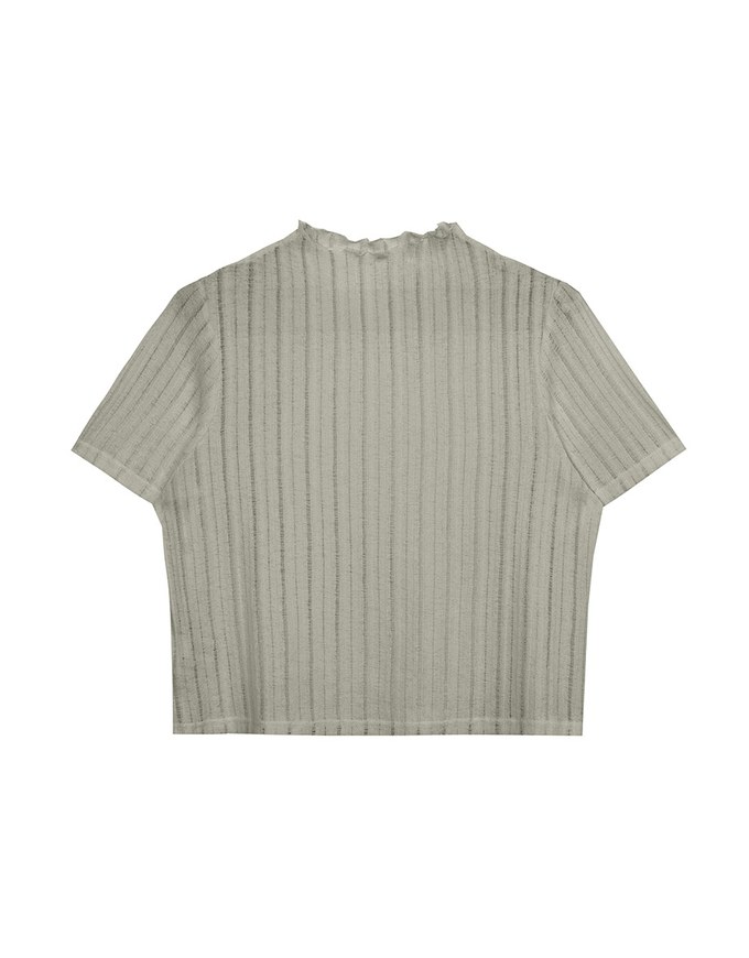 Sheer Half Turtleneck Striped Knit Top