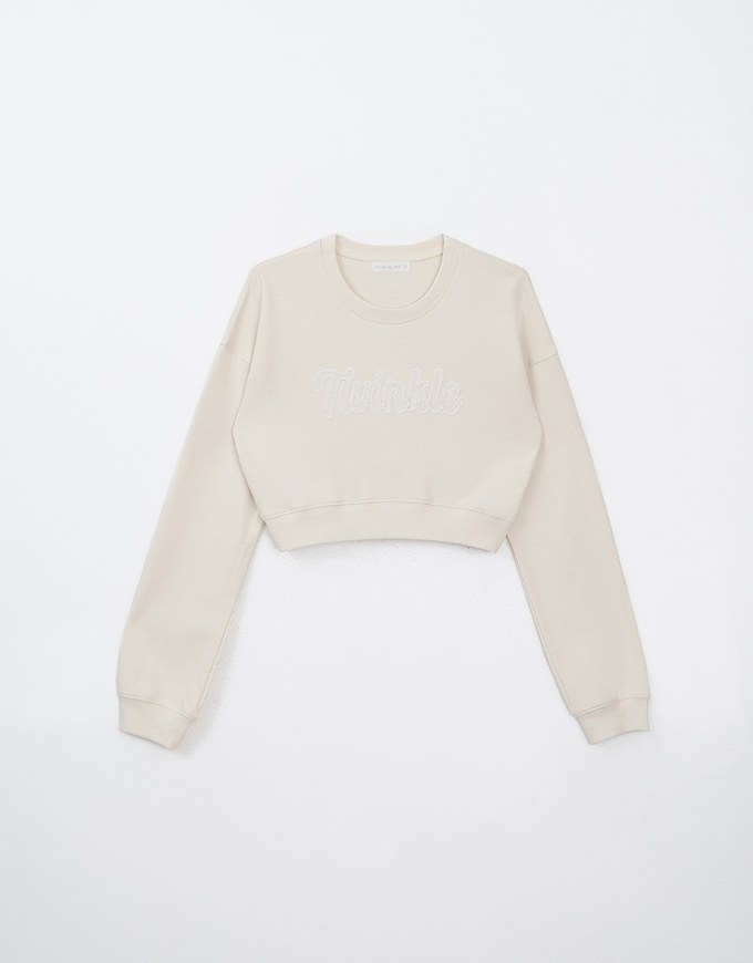 Letter Embroidered Cropped Sweatshirt