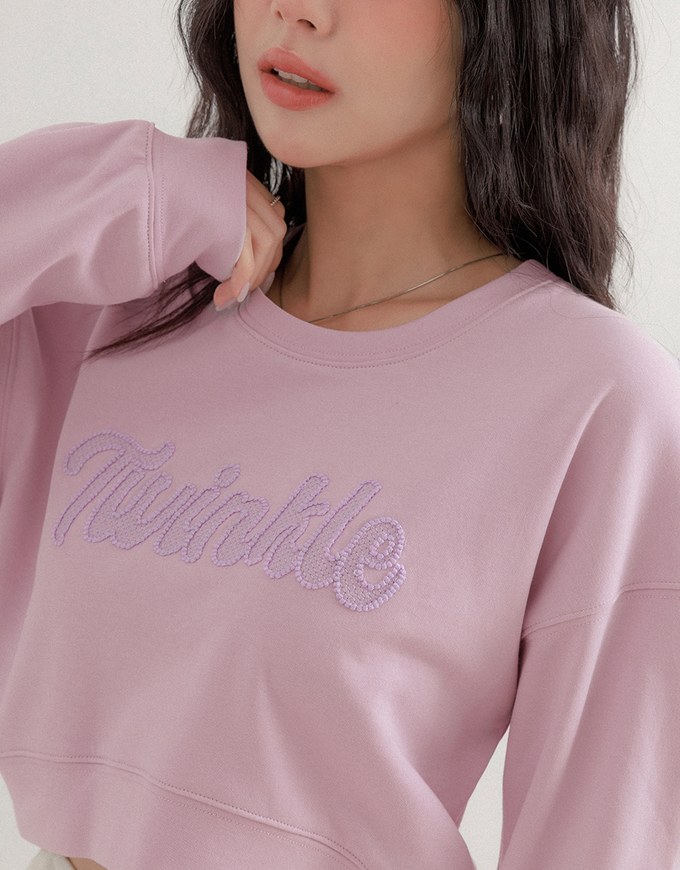 Letter Embroidered Cropped Sweatshirt