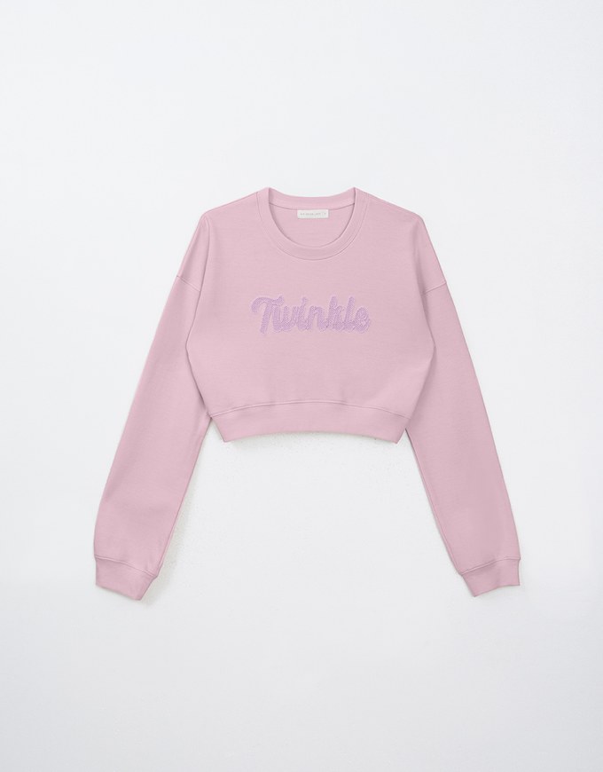 Letter Embroidered Cropped Sweatshirt