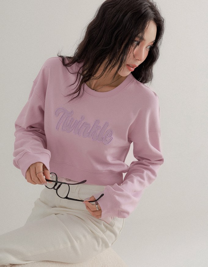 Letter Embroidered Cropped Sweatshirt