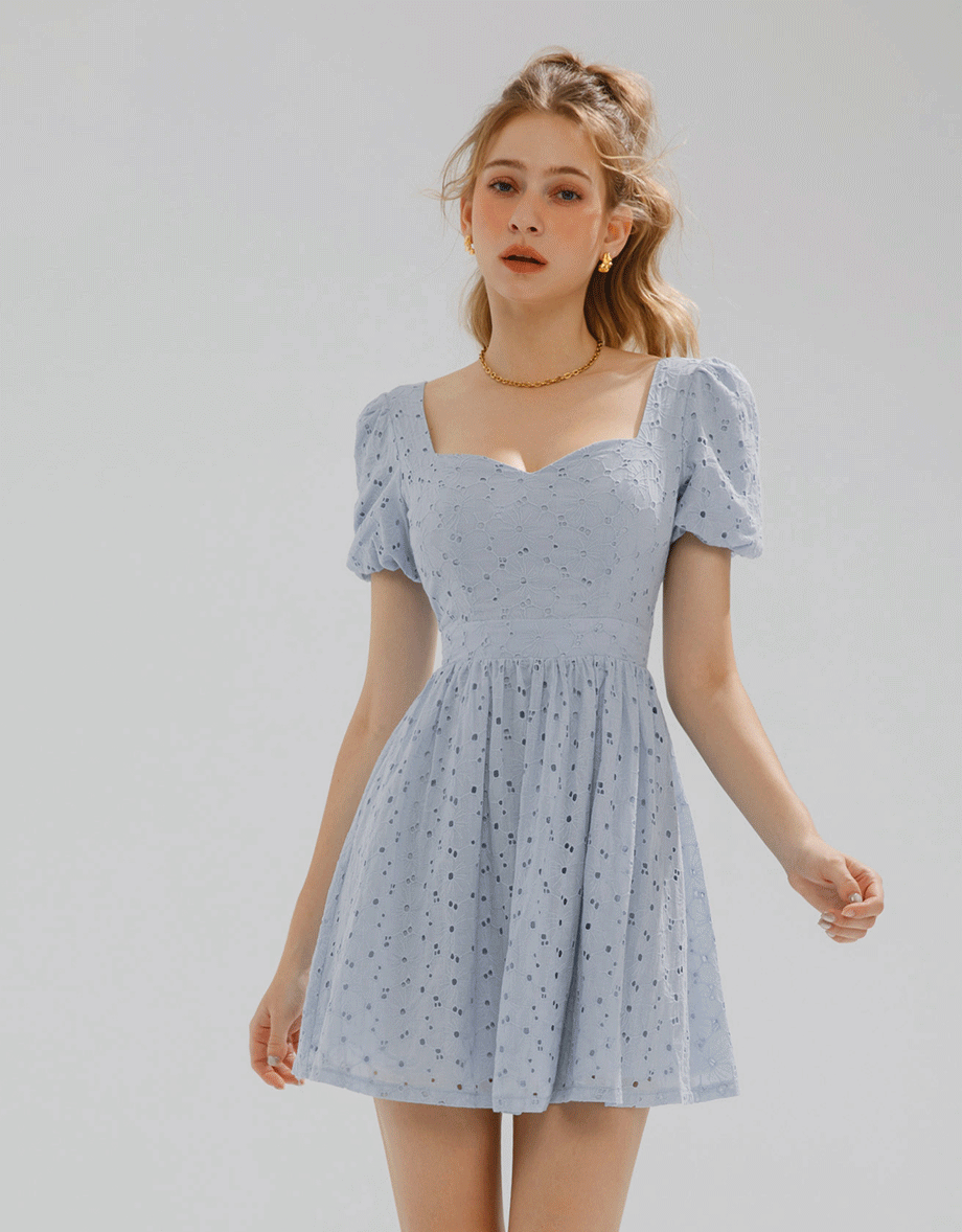 Embroidered Lace Hollow Tie Back Mini Dress