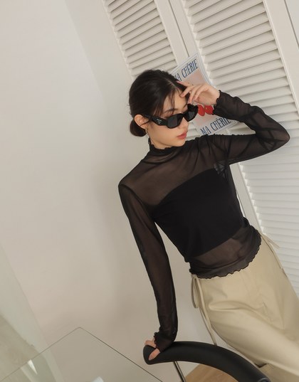 Turtleneck Sheer Ruffle Trim Top