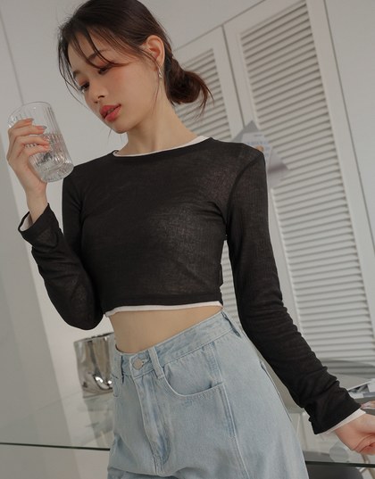 Sheer Knit Cropped Long Sleeve Top