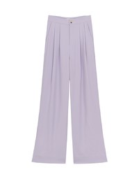 Sleek CEO Style Pleated Suit Wide Pants