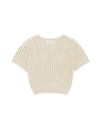 Hollow Hole Crop Knitted Top
