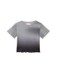 Stylish Gradient Mesh Crop Top