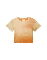 Stylish Gradient Mesh Crop Top