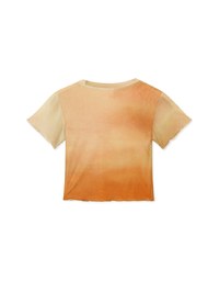 Stylish Gradient Mesh Crop Top