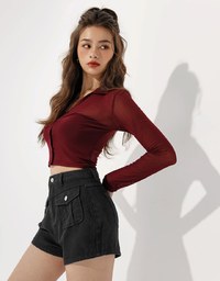 Open Collar Sheer Mesh Top