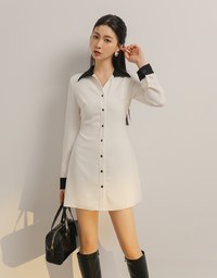 Collared Button Front Colorblock Mini Dress