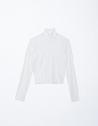 Turtleneck Sheer Ruffle Trim Top