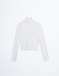 Turtleneck Sheer Ruffle Trim Top