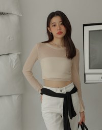 Sheer Knit Cropped Long Sleeve Top