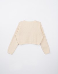 Long Sleeve Mellow Letter Embroidered Knit Cropped Top