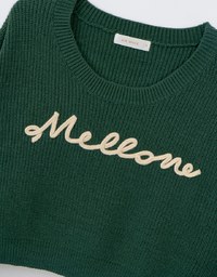 Long Sleeve Mellow Letter Embroidered Knit Cropped Top