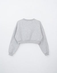 Fleece Lined Cropped Sweater With Letter Print Embroidered