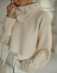 Long Sleeve Soft Knit Top (with Neck Scaft)