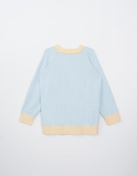 Oversized Letter Printed Colorblock Knit Sweatshirt