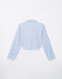 Basic Striped Long Sleeve Cropped Button Up Blouse