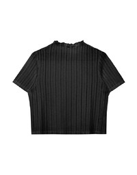 Sheer Half Turtleneck Striped Knit Top