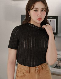 Sheer Half Turtleneck Striped Knit Top