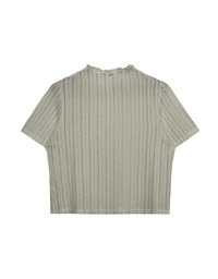 Sheer Half Turtleneck Striped Knit Top