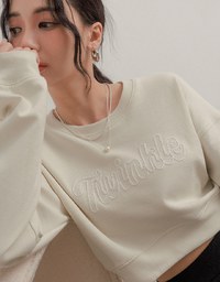 Letter Embroidered Cropped Sweatshirt