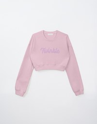 Letter Embroidered Cropped Sweatshirt