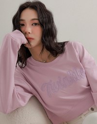 Letter Embroidered Cropped Sweatshirt